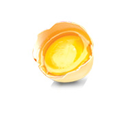 egg